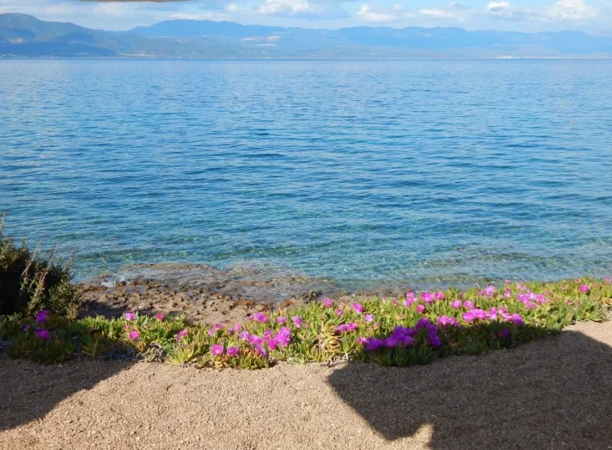Seafront-Villa-near-Athens-with-private-beach-Chalkida-18