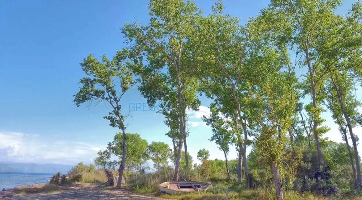 Seafront-Villa-in-Corfu-for-Sale-Corfu-Homes-for-sale-4